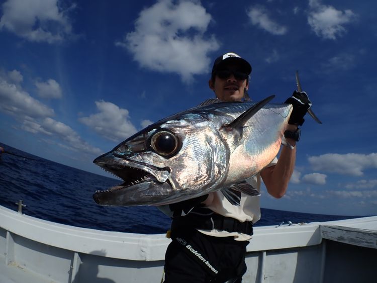 ｇｔ マングローブまで色々釣り 西表島の釣り シュノーケル 滝への少人数ツアー 島道楽